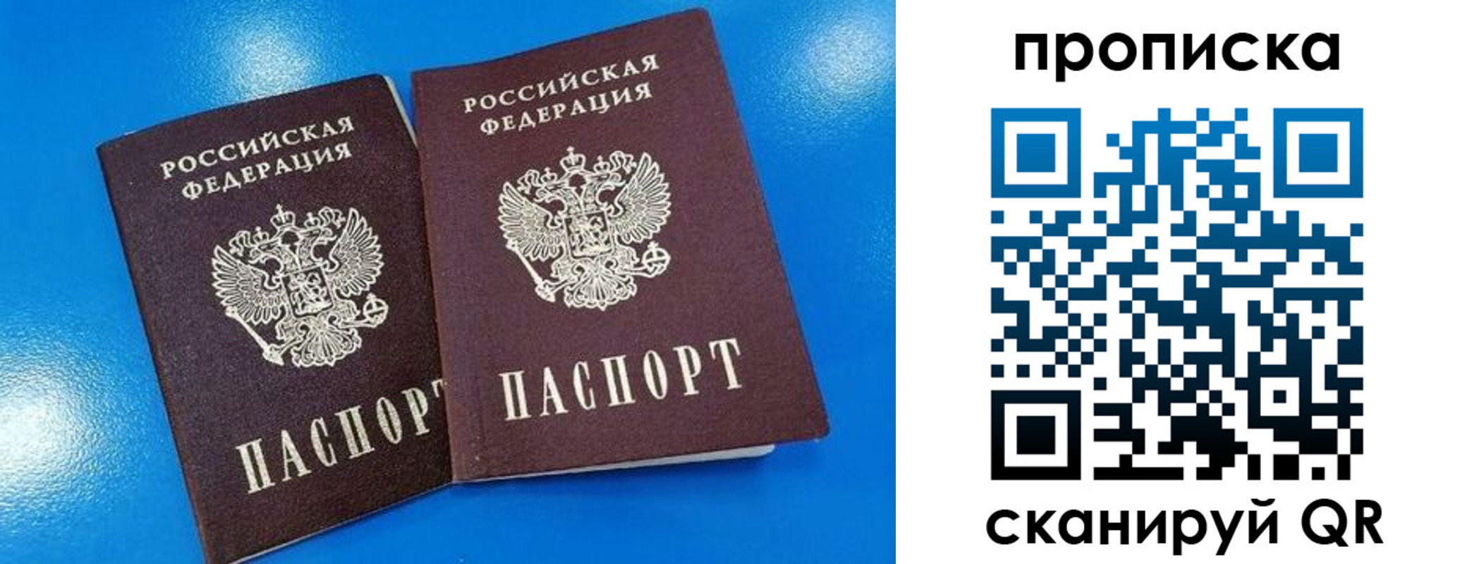 прописка для школы в Котласе